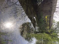 iphone_upload_pic-溱湖国家湿地公园