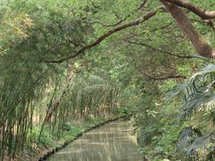 -同里国家湿地公园