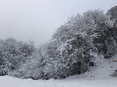 -太子岭滑雪场