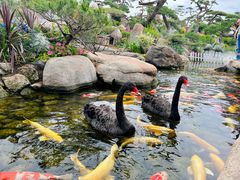 -罗红摄影艺术馆