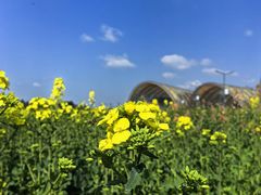 -中国天府农业博览园