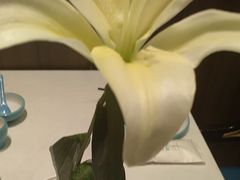 -聆桂烤鸭·金奖烤鸭(静联广场店)