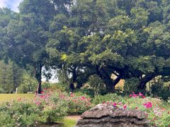 -人民公园(罗湖区)