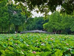 -西南交通大学(九里校区)