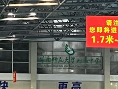 -奥冠体育华师附中恒温游泳馆