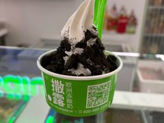 -Salud撒露欧洲冻酸奶(五道口购物中心店)