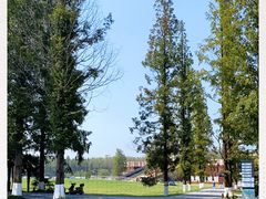 -黄海国家森林公园