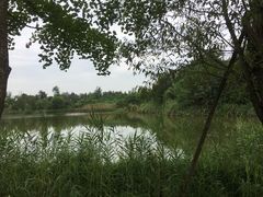 -白鹭湾湿地公园