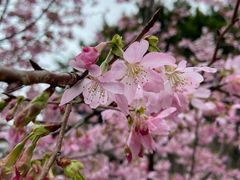 -乌山风景区