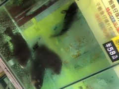 -凯盈阁·顺德私房菜·桑拿鸡