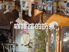 -In Cafe隐食研室