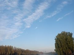 -广富林郊野公园