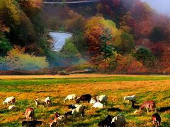 -天燕原始生态旅游区-天门垭景区