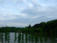 景点-三水森林公园