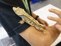 -南宁国际会展中心