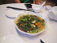 上汤苋菜-双井轩(双井店)