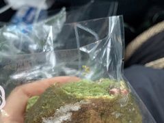 -Juicy Bakery(瑞景店)