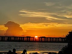 -宝安西湾红树林湿地公园