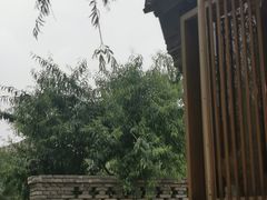 -春风习习