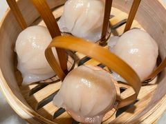 -金鼎轩(方庄天坛店)