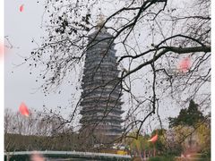 -红梅公园