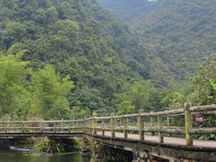 -靖西鹅泉风景区