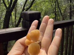 -五女山景区