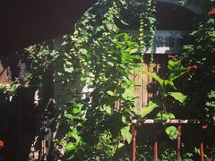 斯多格书乡咖啡馆-斯多格书乡(北京大学畅春园店)