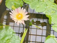 -国家植物园
