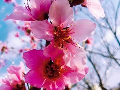 -昆山城市生态森林公园