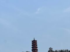 -南沙蒲洲花园