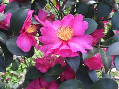 -白塘生态植物园