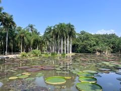 -中国科学院西双版纳热带植物园