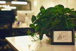 -FAIRY婚礼跟拍工作室