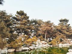 -中国唐苑