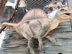 -Behring World of Animals(上海自然博物馆店)