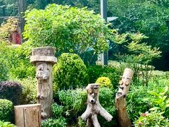 -北岭山森林公园