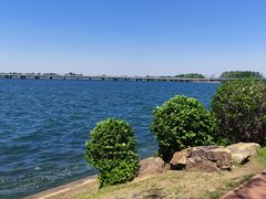 -丁香湖公园