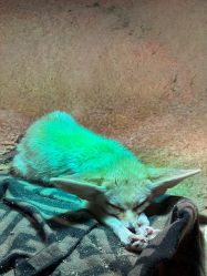 -酷嗒动物文化乐园(cutezoo西溪乐天城店)