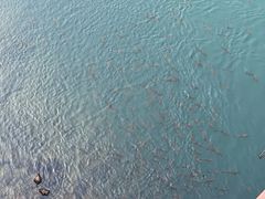 -九曲溪竹筏码头