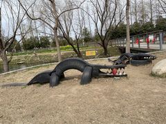 -上海长兴岛郊野公园