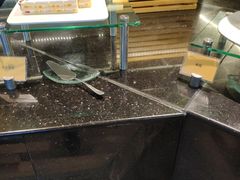 -泰谷酒店·太古码头闽菜自助餐厅