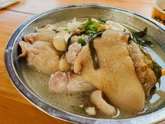 -胖娃滋补蹄花