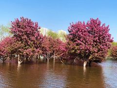 -永定河休闲森林公园