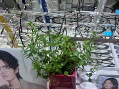 -华彬眼镜专业渐进配镜(潘家园店)