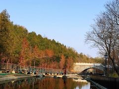 -白水寺森林公园