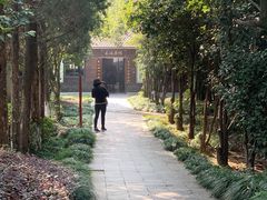 -白马涧龙池景区