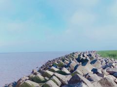 -南汇嘴观海公园