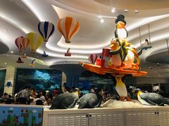 -帝企鹅自助餐厅•儿童岛•真企鹅(长隆企鹅酒店)