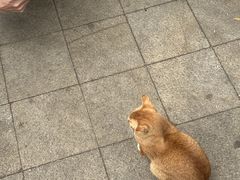 -荔湾博物馆